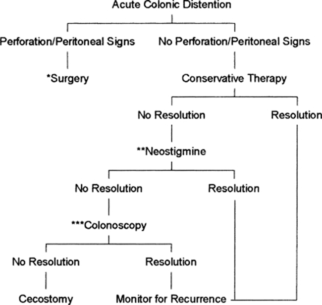Diagnosis and management of Ogilvie’s Syndrome post Caesarean Section.