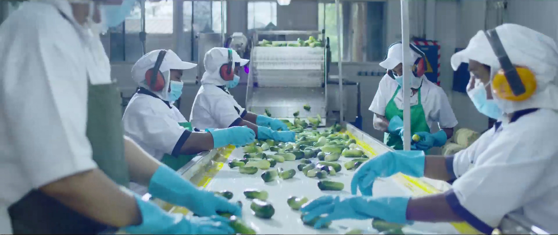 Our Facilities Vegetable and Fruit Processing Plant Sri Lanka