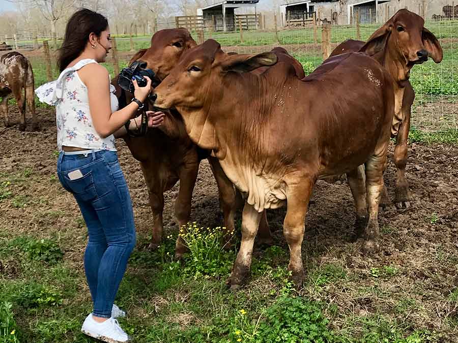 Lovely Dahiana Londoño from Colombia enjoys the HK Cattle embryo