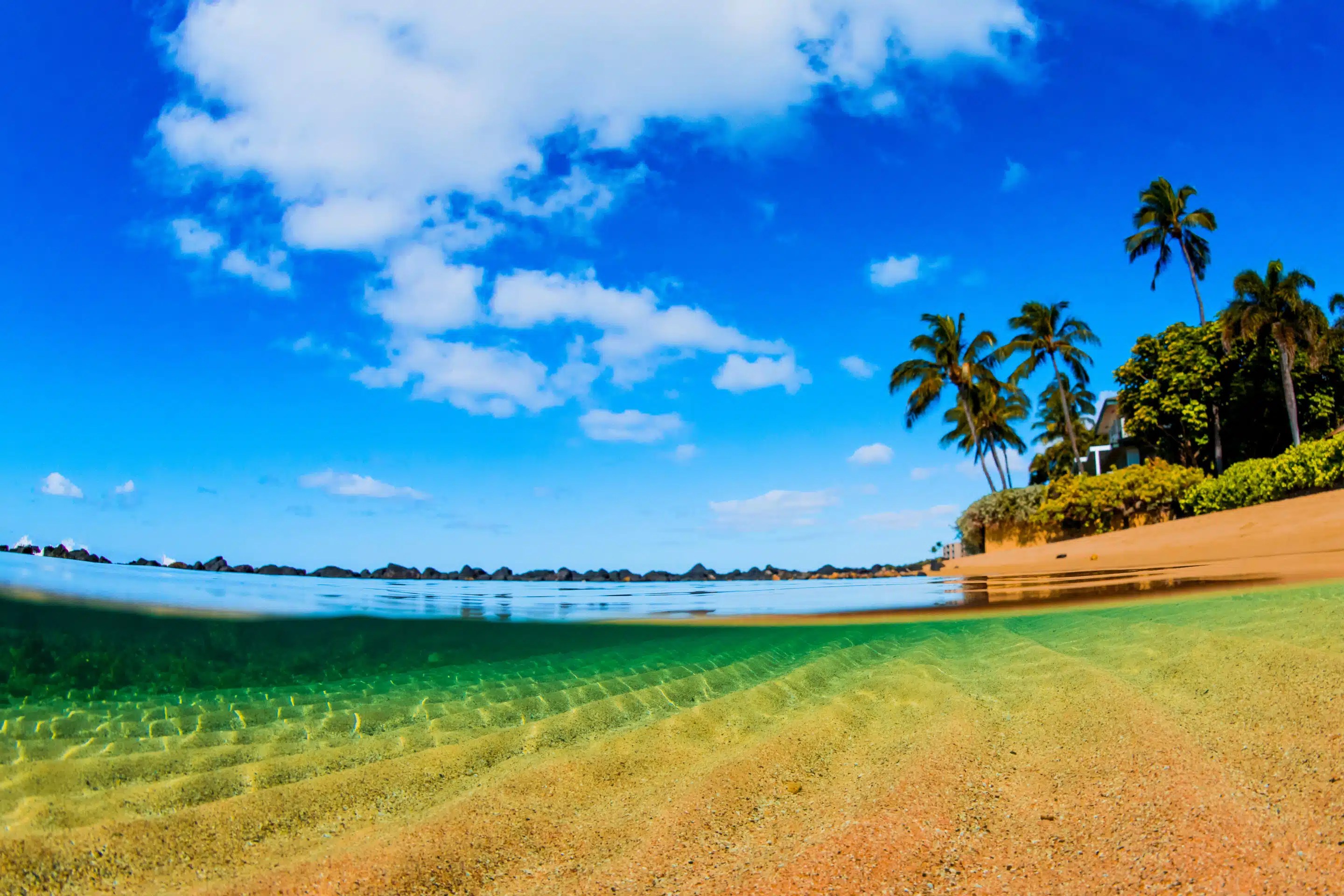 Baby Beach Hawaii Lodging & Tourism Association
