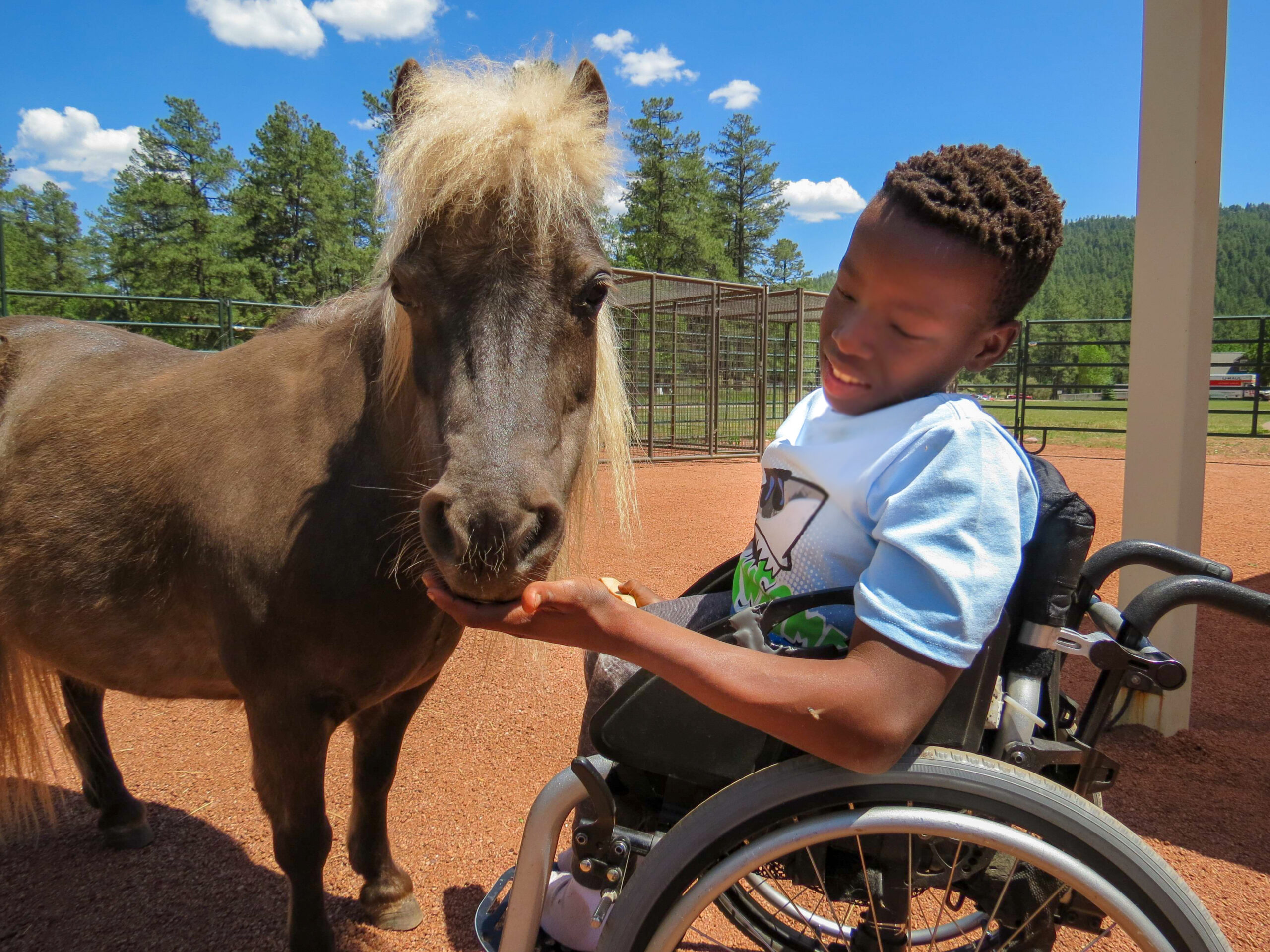 Child Crisis Arizona Expands Services with Acquisition of Whispering