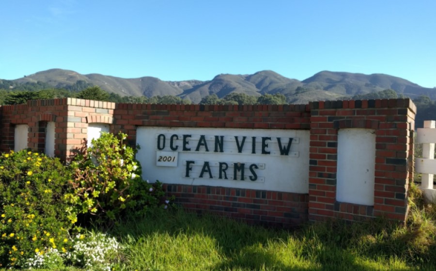 Half Moon Bay Feed and Fuel