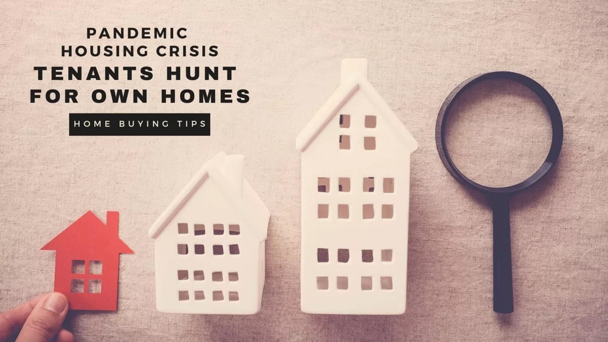 Pandemic Housing Crisis Tenants Hunt for Own Homes, Spells Trouble for