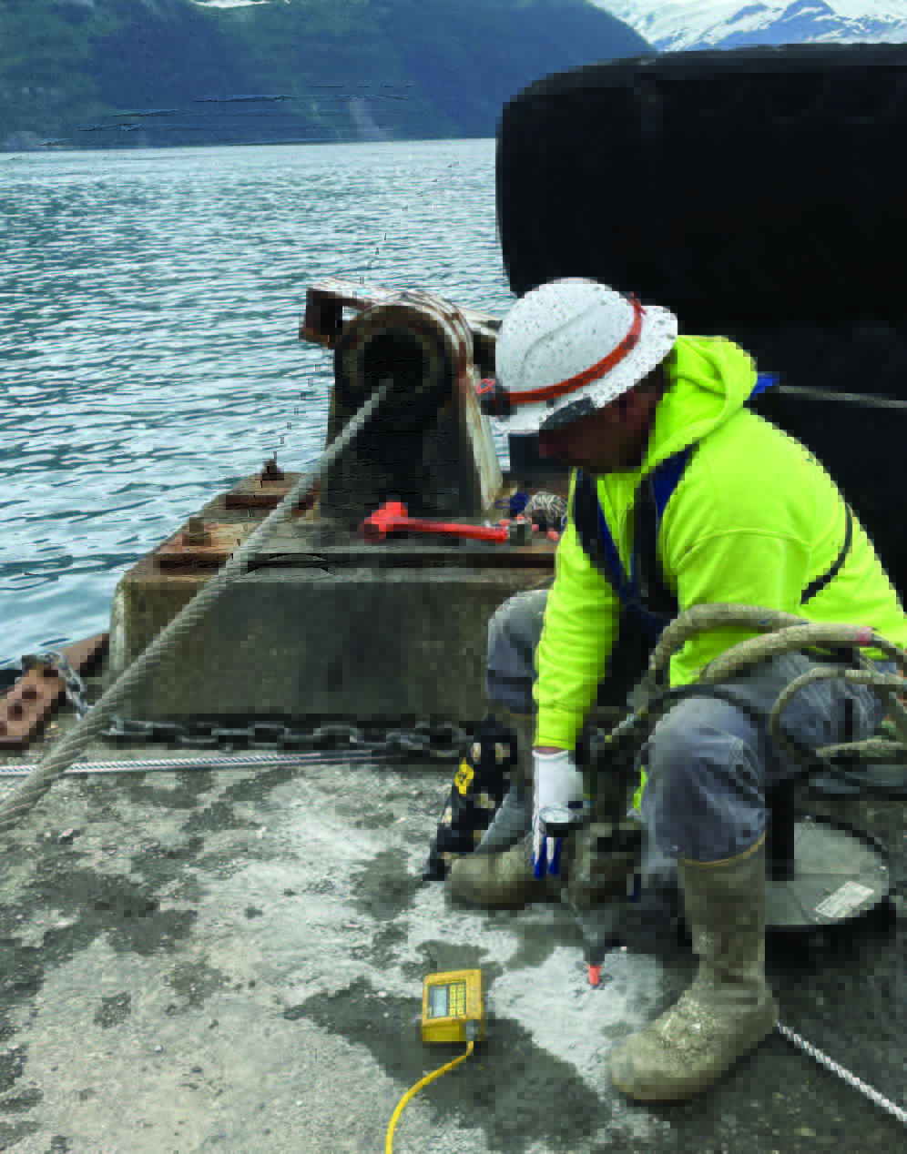 Whittier Dolphin Cell Repair | Case Study | HMI