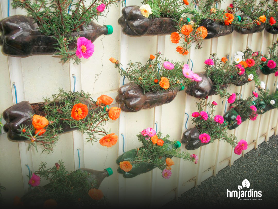 6 Ideias para um jardim vertical HM Jardins