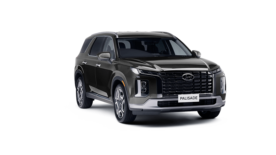 Palisade LIMITED TECH 2024 ¡La esencia de la creación!