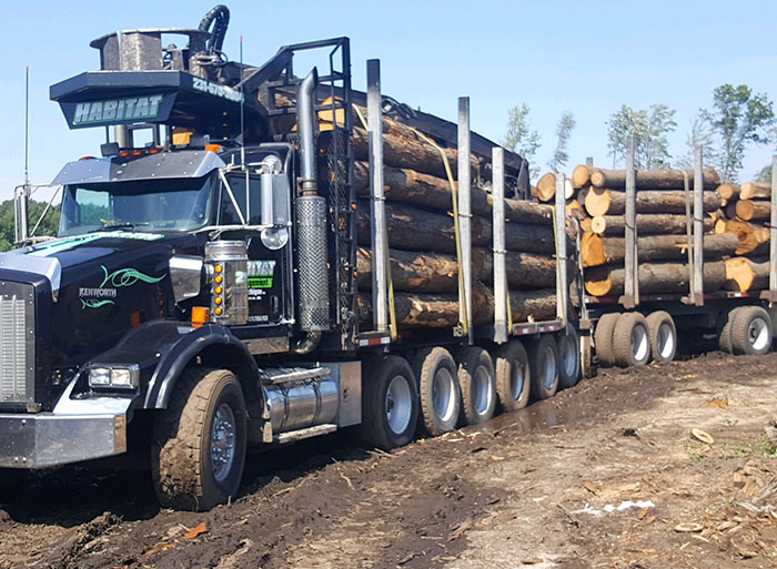 Habitat Management of Michigan Habitat Management, Complete Land Clear