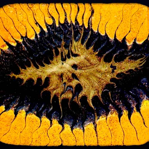 Coram Lethe A Splendid Chaos CD Heavy Metal Rock