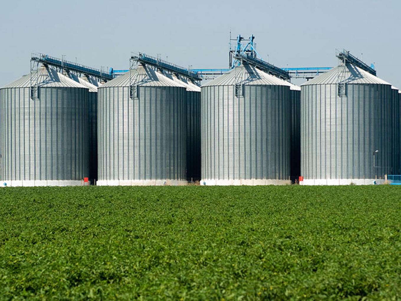 Agronegócio HM Rubber Borracha Líquida e impermeabilização