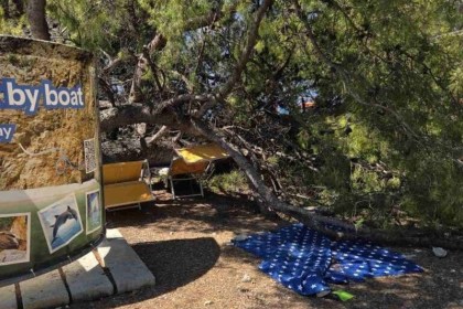 Bor visok 13 metara u Crikvenici pao na kupače, oOzlijeđeno osmero Hrvata i Čeha – Hrvatski Medijski Servis