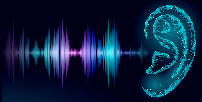 Sounds of Modern History: Auditory Cultures in 19th- An…