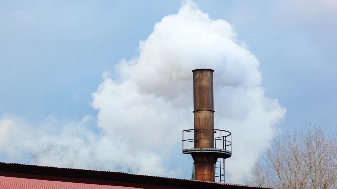 Do You Need a Chimney Liner? A Detailed Guide