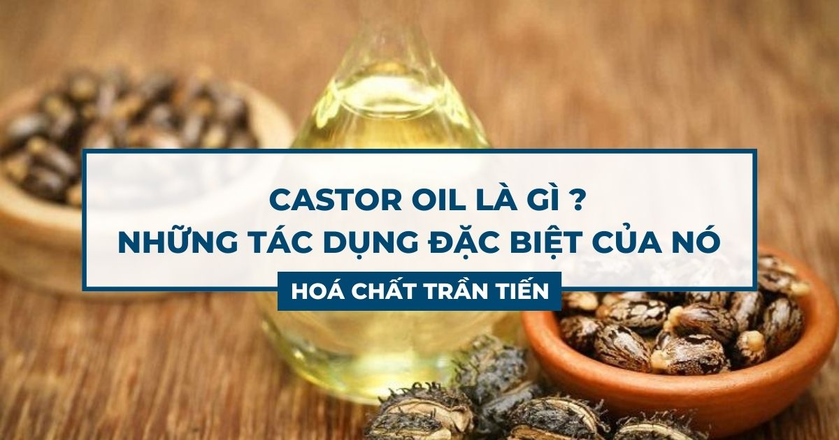 Castor Oil Là Gì ? Tác Dụng Của Castor Oil Ra Sao Hoá Chất Trần Tiến