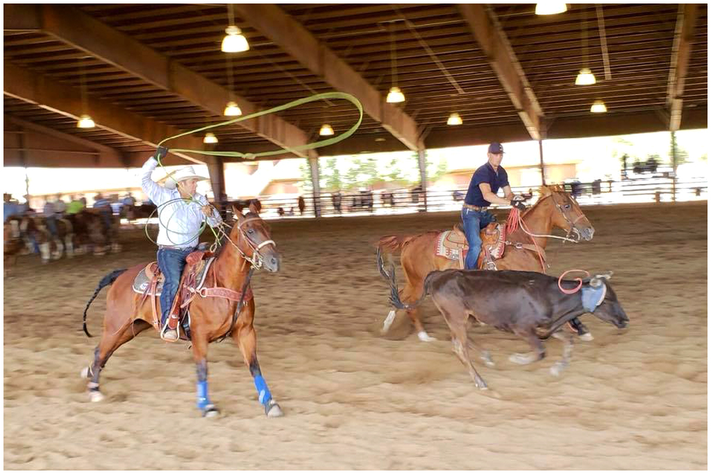 American Ranch Prescott RopeAPalooza Hoamco