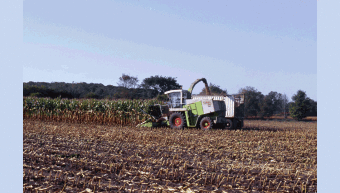 Hoard&#039,s Dairyman Crops and Forage Dairy ESource