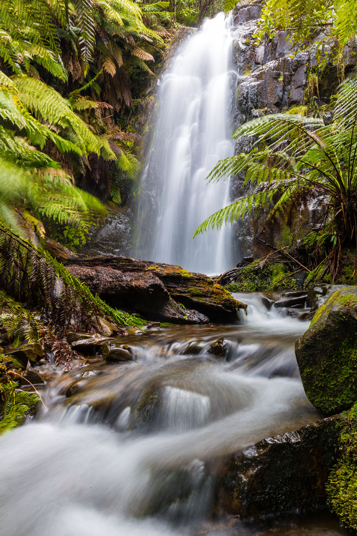 10 Must Visit Waterfalls In Southern Tasmania Hobart and Beyond