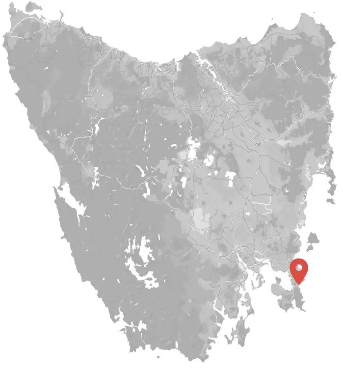 Explore The Tessellated Pavement at Eaglehawk Neck Hobart and Beyond