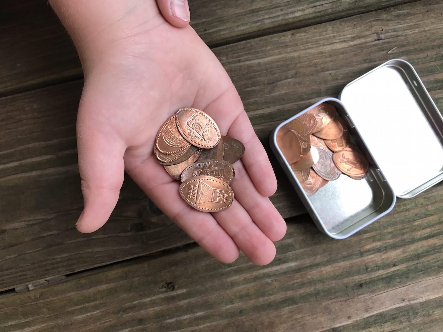 Cheap Collections for Kids Hobbies on a Budget