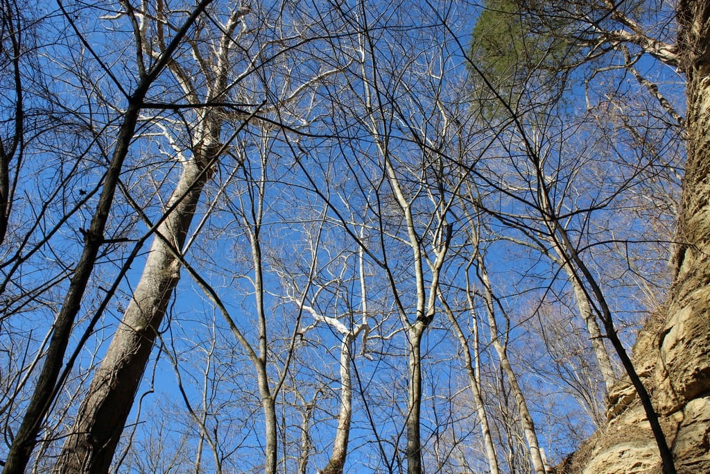 Rock House Natural Arch Jamestown, Kentucky Hobbies on a Budget