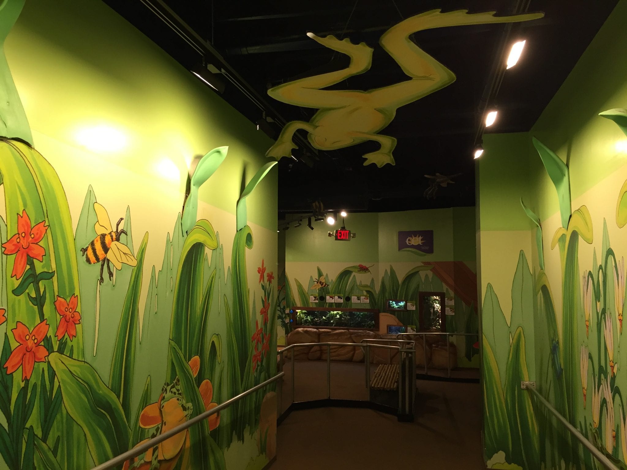 Things to know about the Newport Aquarium Hobbies on a Budget
