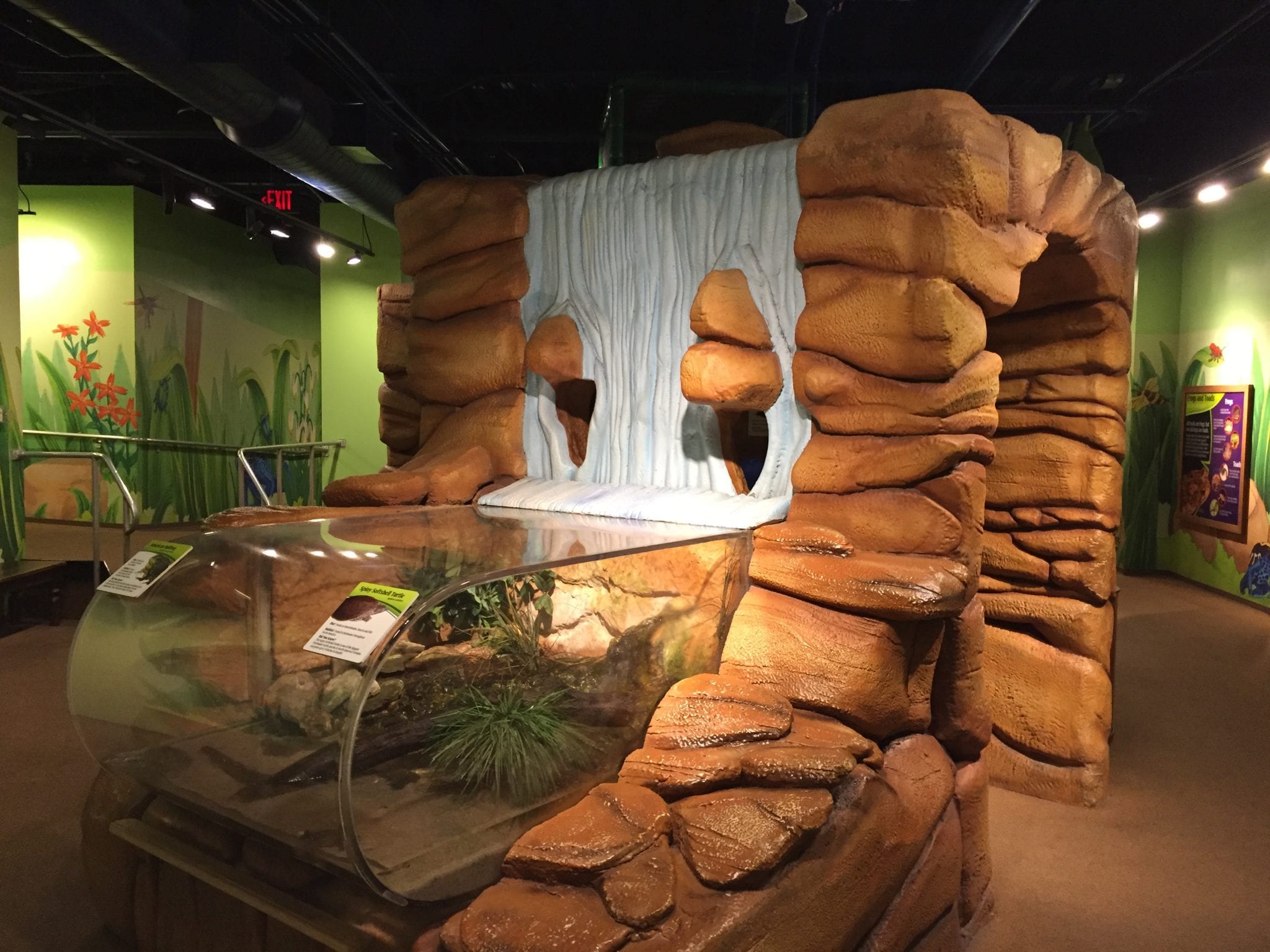 Things to know about the Newport Aquarium Hobbies on a Budget