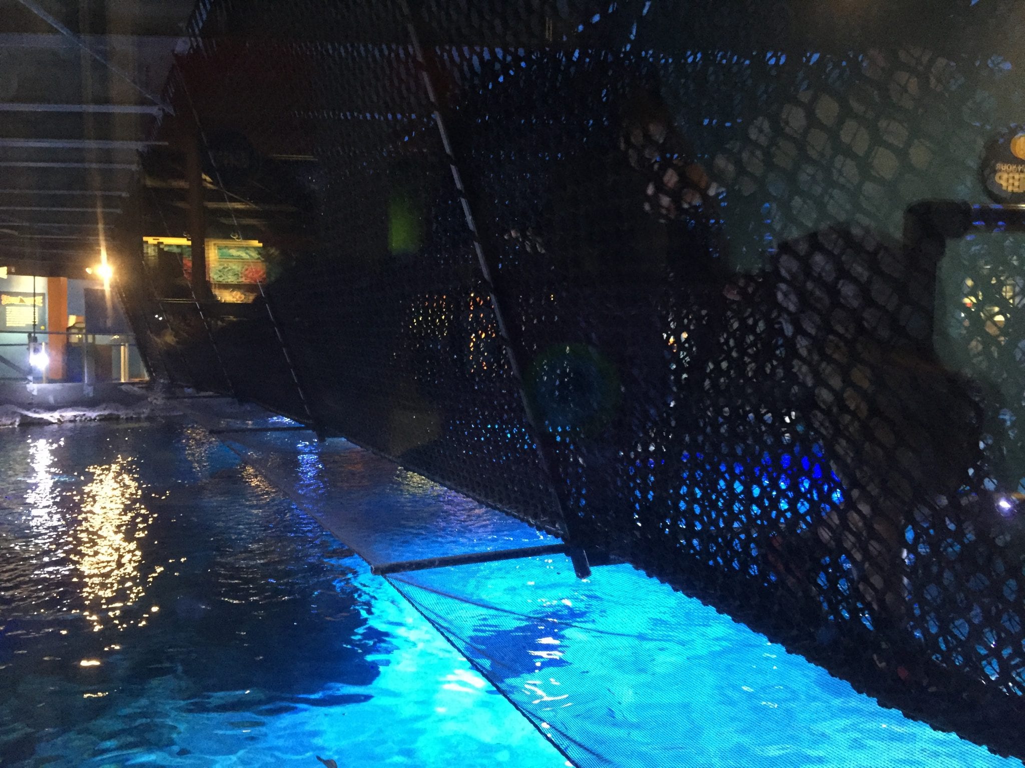 Things to know about the Newport Aquarium Hobbies on a Budget