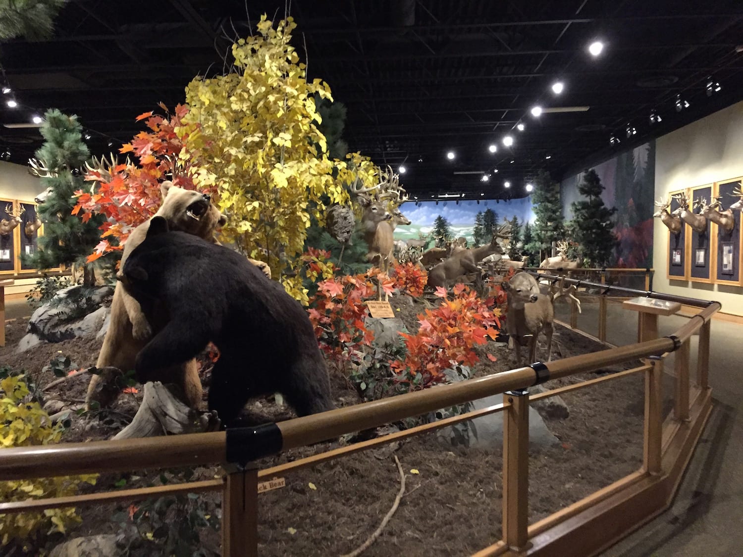 Why Cabelas Is the Perfect Road Trip Break State by State Travel