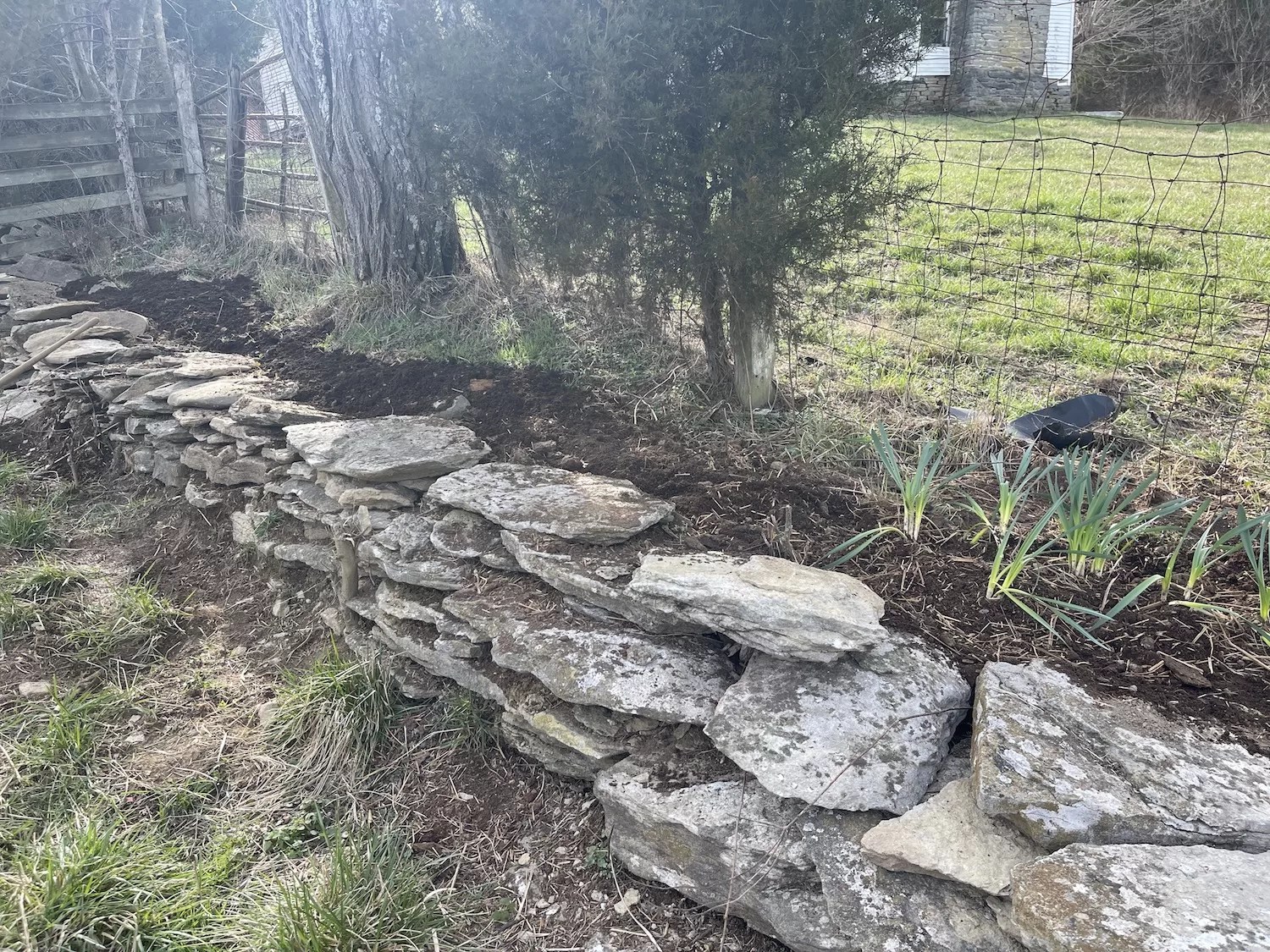 Progress on the Rock Wall Garden Hobbies on a Budget
