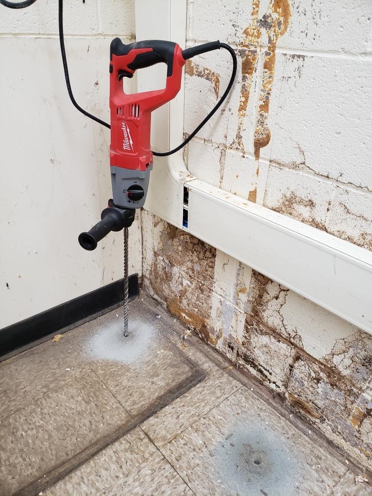 Exterminator & Fumigation Service Butte County CA Hobbs Pest Solutions