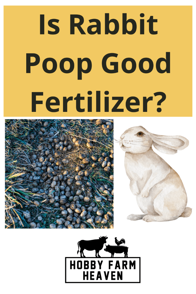 Is Rabbit Poop Good For Fertilizer · Hobby Farm Heaven