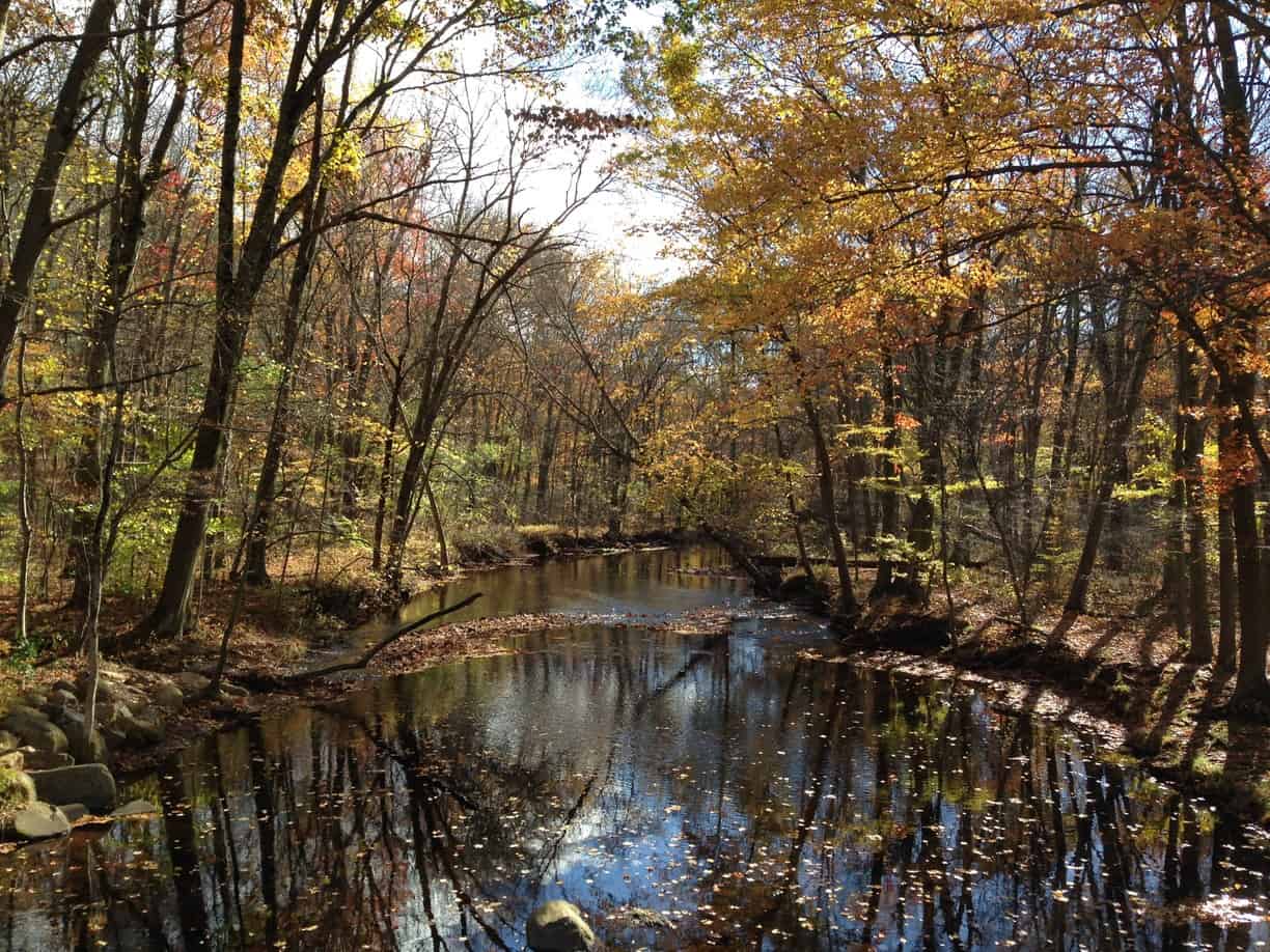 7. Sleeping Giant State Park Hobby Help