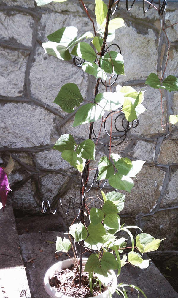 40 Things You Can Do With an Old Mattress Hobby Lesson