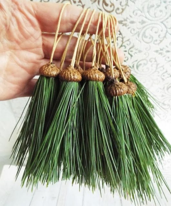 25 Ways to Reuse Pine Needles Intelligently Hobby Lesson