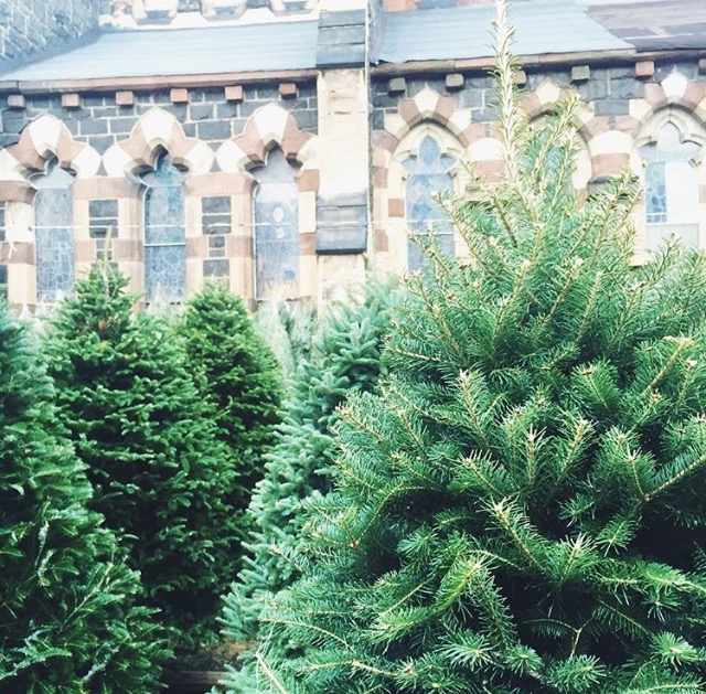 The Most Festive Hoboken Photos of the Week Hoboken Girl