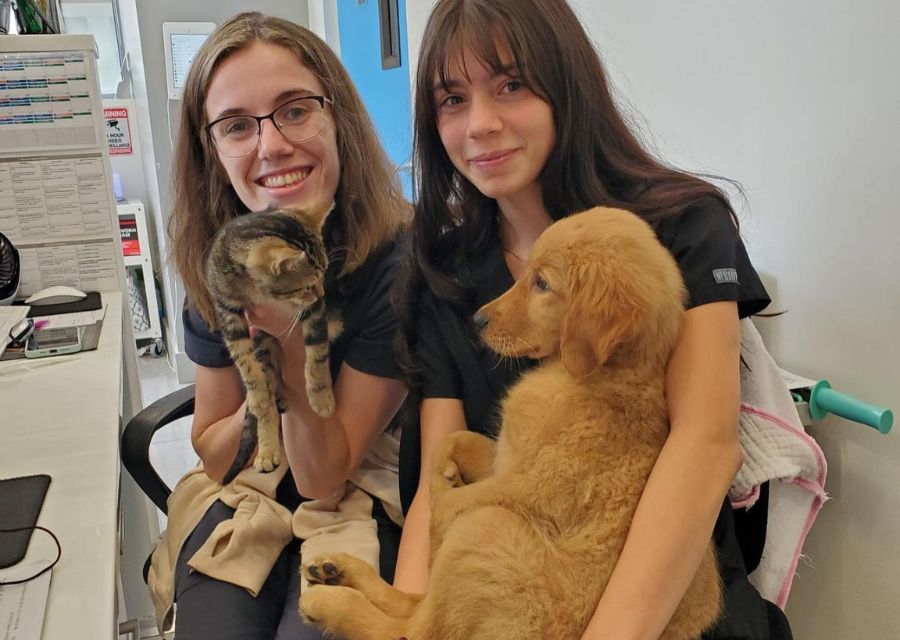 Hoboken Vets Animal Clinic Gallery Vet Clinic In Hoboken, NJ 07030