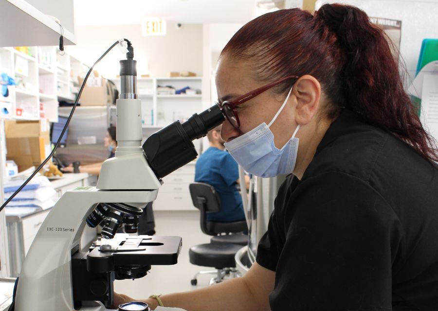 Hoboken Vets Animal Clinic Gallery Vet Clinic In Hoboken, NJ 07030