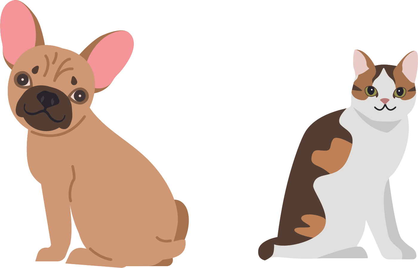 Celebrate National Animal Safety And Protection Month Hoboken Vets