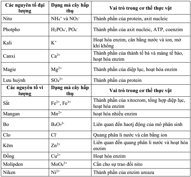 Lý thuyết Bài 4 Vai trò của các nguyên tố khoáng Sinh học 11 Hoc24