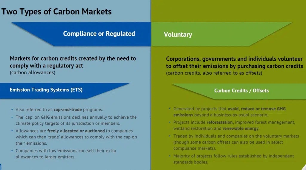Carbon Credits และ Carbon Markets คืออะไร? มาทำความเข้าใจและลด Carbon Footprint ไปพร้อม ๆ กัน