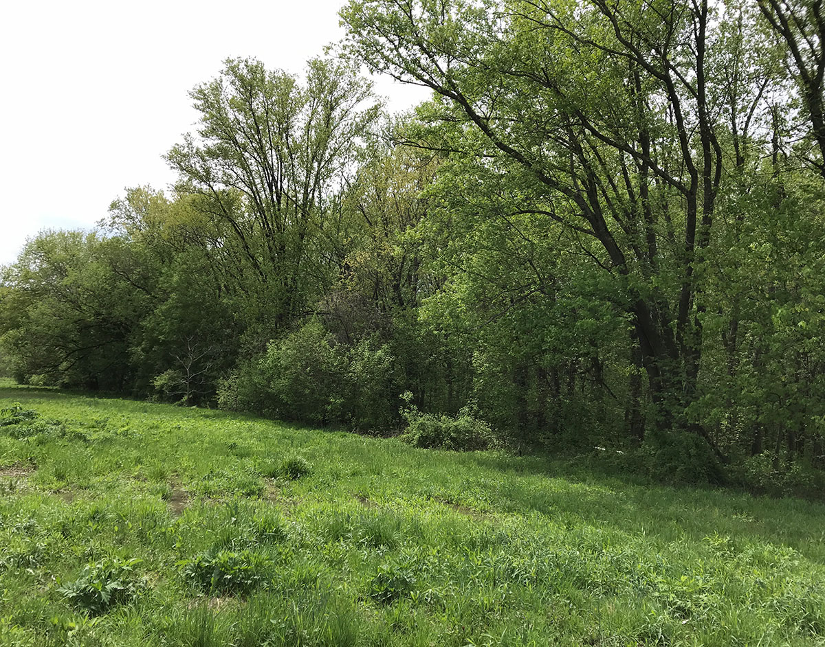 2003 Foster Grove Hocking River Commission