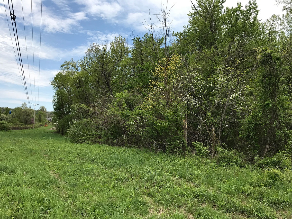 2003 Foster Grove Hocking River Commission