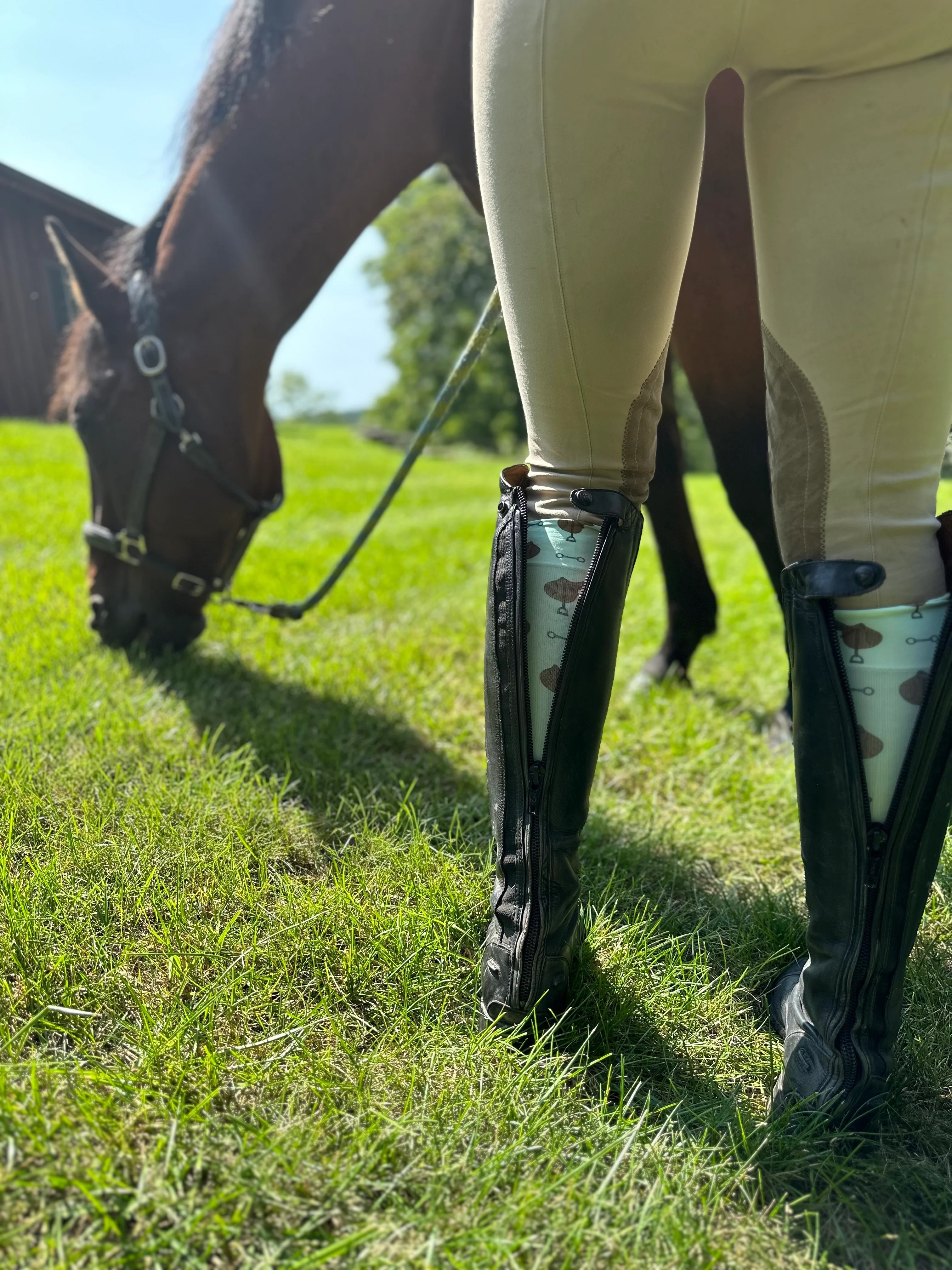Introducing ShowSocx The Ultimate Horseback Riding Sock Hocsocx Inc
