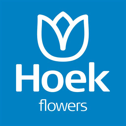 Hoek Flowers