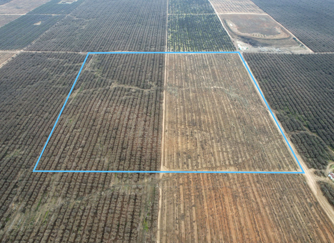 38.96 Acre Haley Ranch Hoekstra & Associates