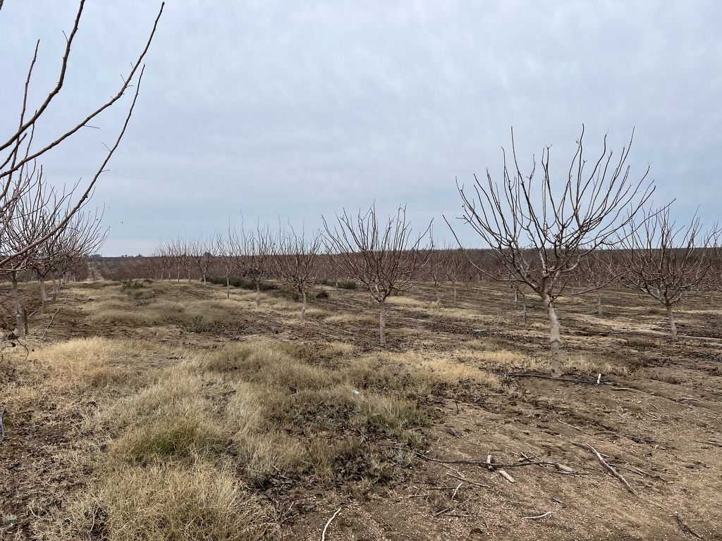 38.96 Acre Haley Ranch Hoekstra & Associates