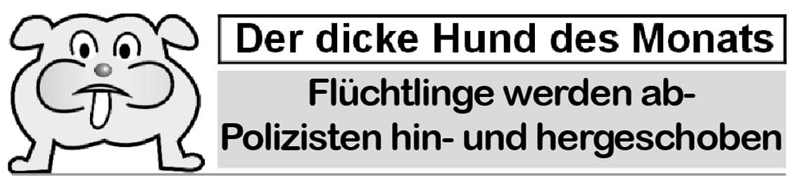 Der Dicke Hund im Juni hofprogramm das Veranstaltungsportal für Hochfranken