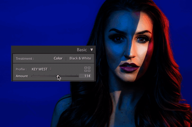 Pro Presets Hoffer Photography