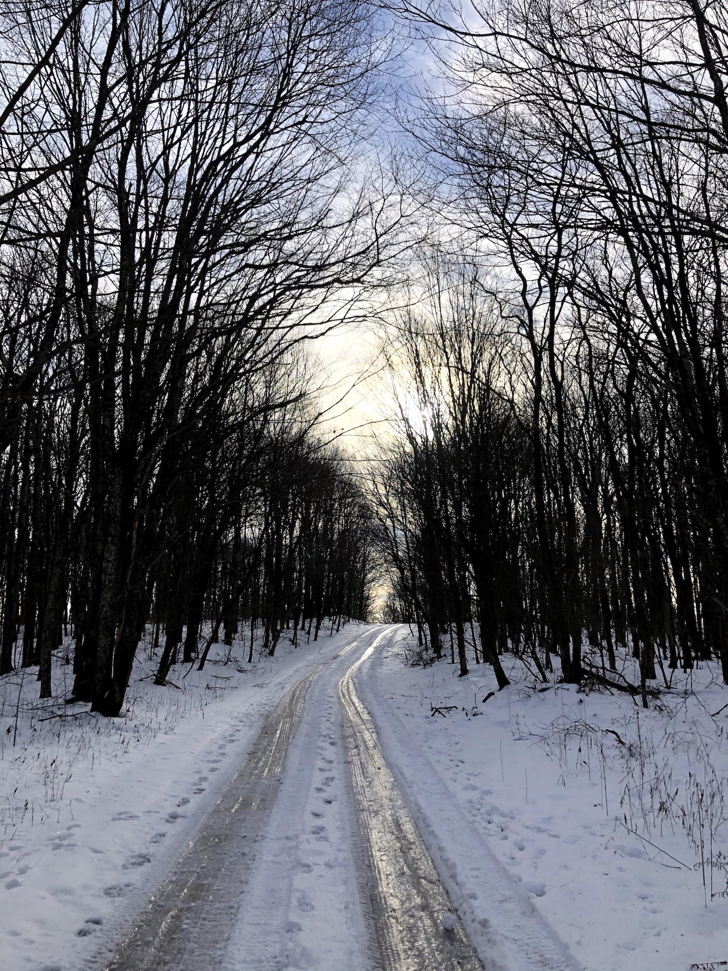 Black Mountain Kentucky High Point Hoff Hikes