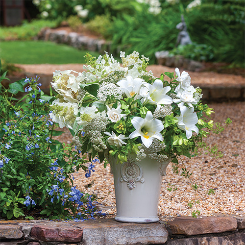 Victoria Flowers & Gardens 2021 Hoffman Media Store