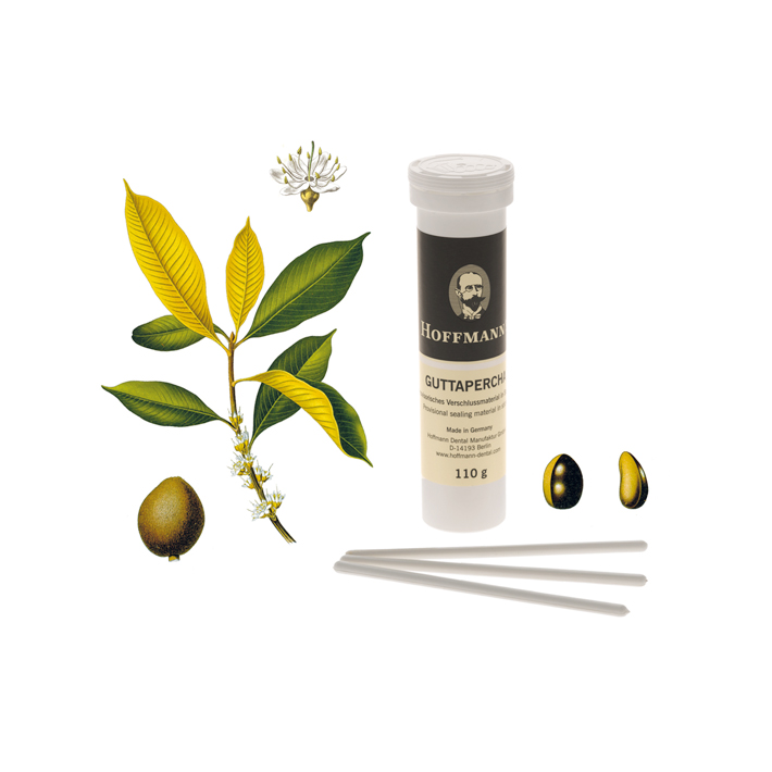 Hoffmannʼs ABDRUCKMASSE ROT Hoffmann Dental Manufaktur